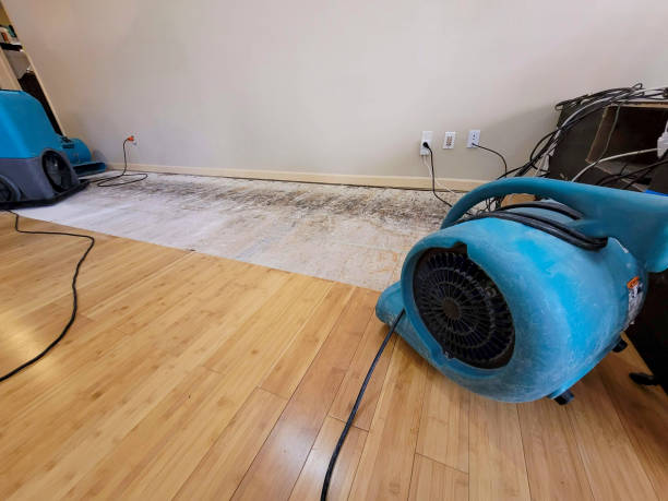 Professional Water Damage Repair technician working in Saint Michael, MN